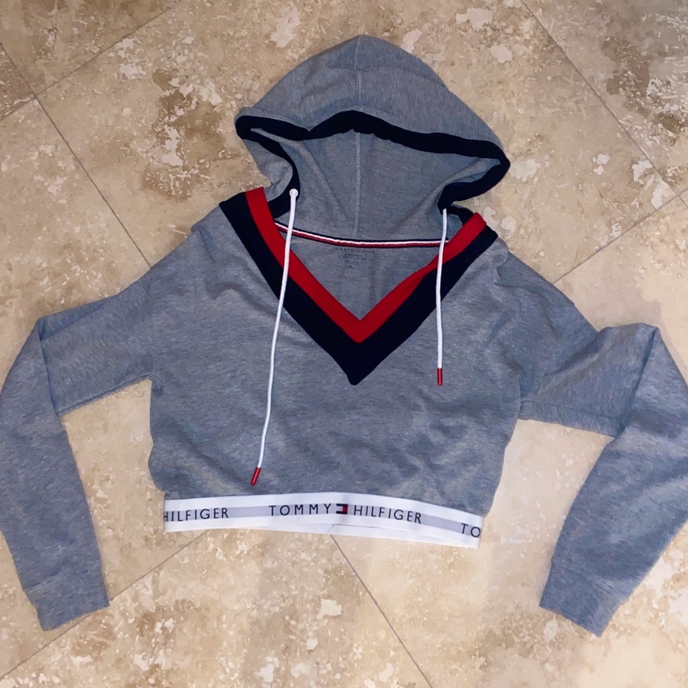 Tommy Hilfiger retro cropped hoodie